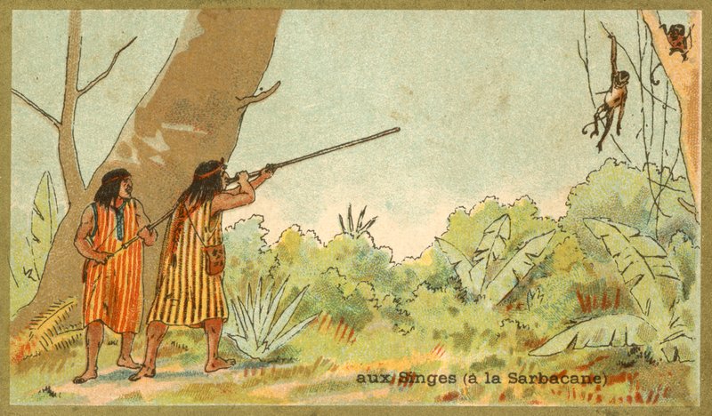 Indios sudamericanos cazando monos con cerbatanas de French School