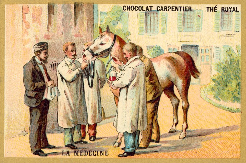 Extracción de sangre de un caballo de French School