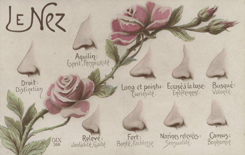 La Nariz de French School