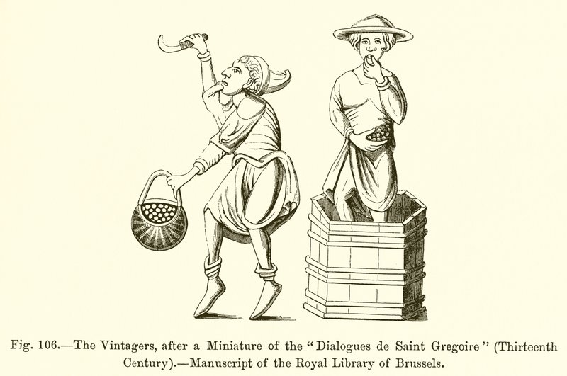 Los vendimiadores, según una miniatura de los Diálogos de San Gregorio de French School