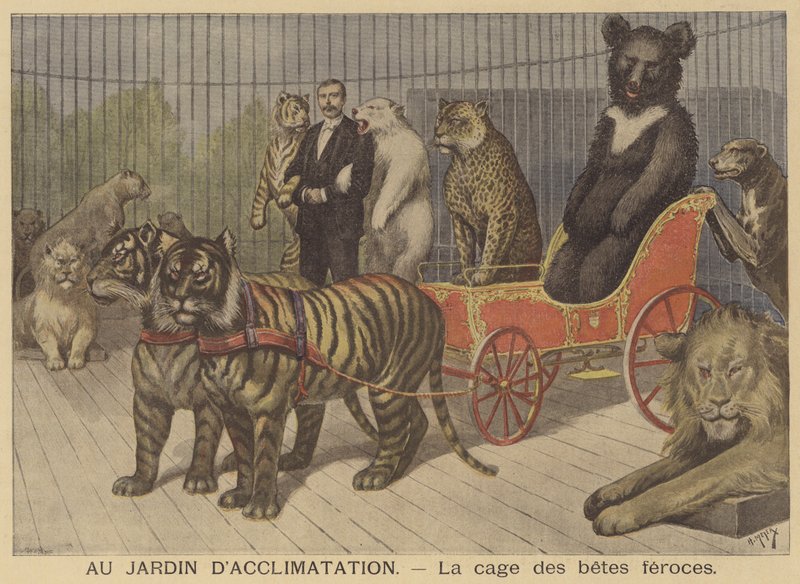 La jaula de animales feroces en el Jardin d