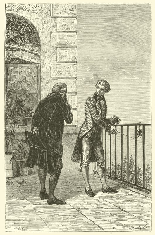La rana de Galvani de French School