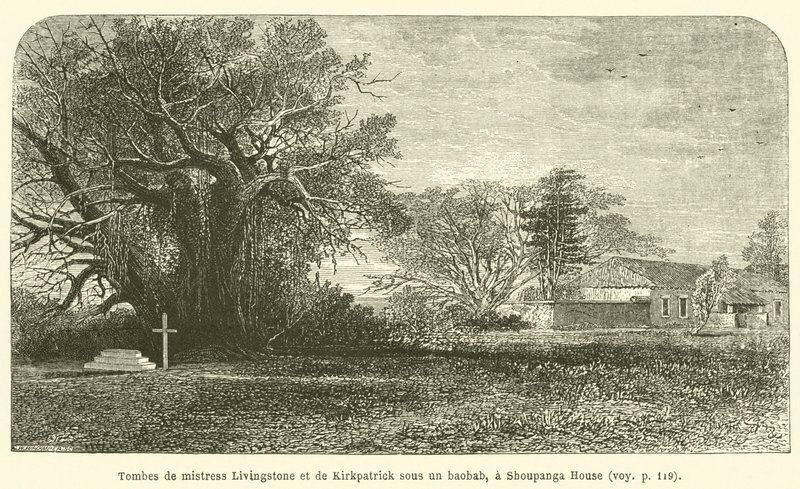 Tumbas de la señora Livingstone y de Kirkpatrick bajo un baobab, en Shoupanga House de French School