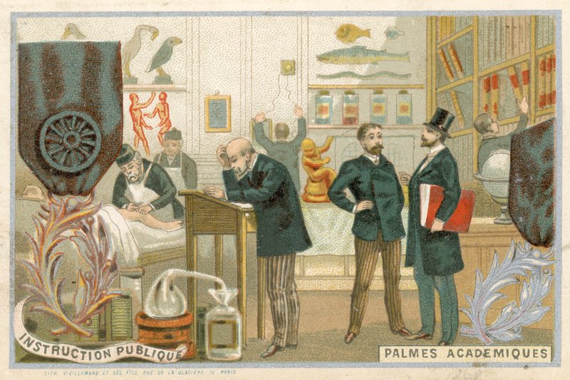 Tarjeta comercial con una imagen de la Orden de las Palmas Académicas de French School