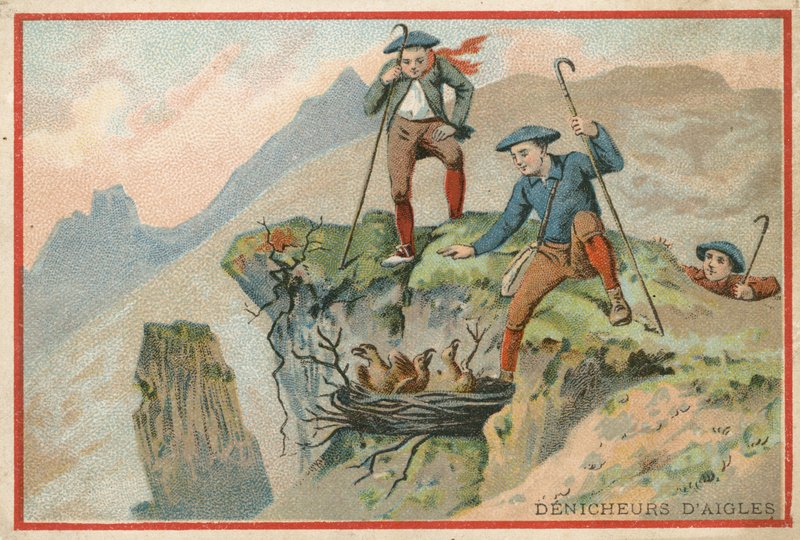 Tarjeta comercial con una imagen de hombres robando huevos de águila de French School