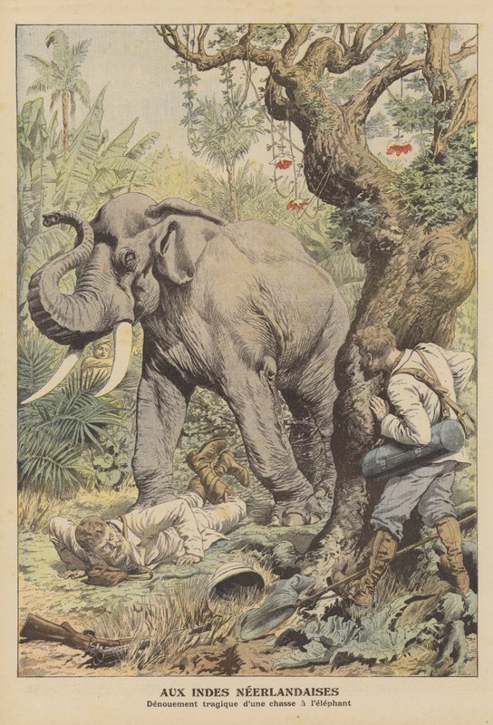 Final trágico de una cacería de elefantes en las Indias Orientales Holandesas (litografia en color) de French School