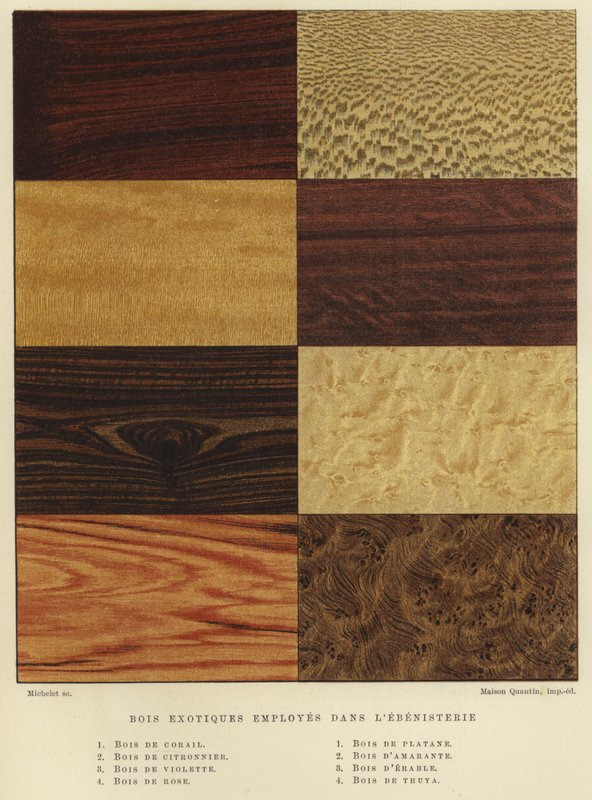 Tipos de madera exótica utilizada en la ebanistería de French School
