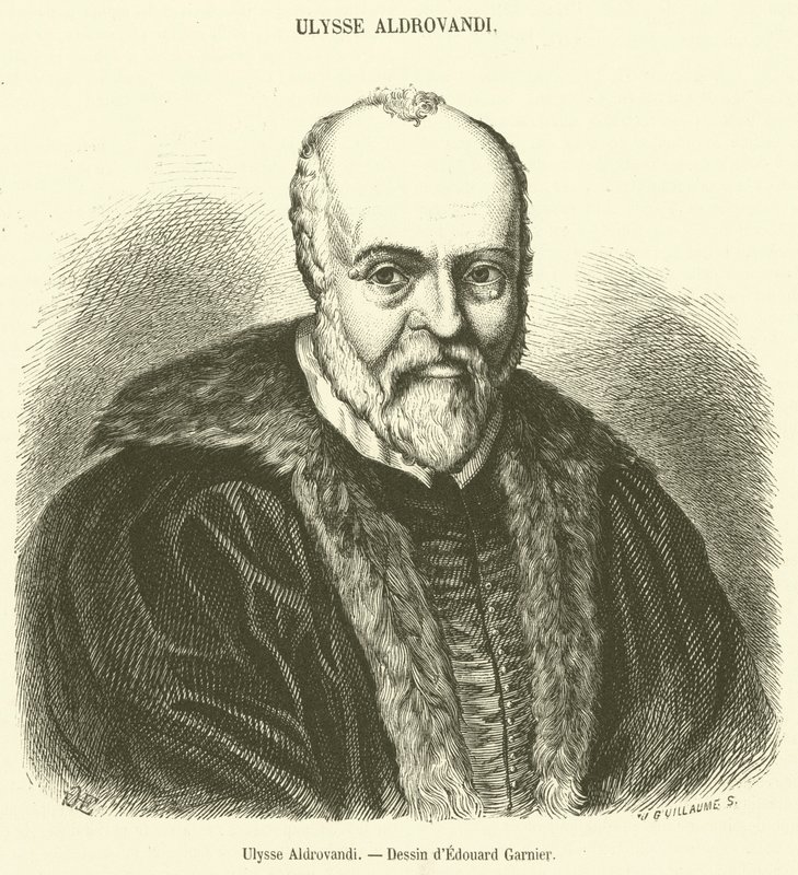 Ulisse Aldrovandi de French School