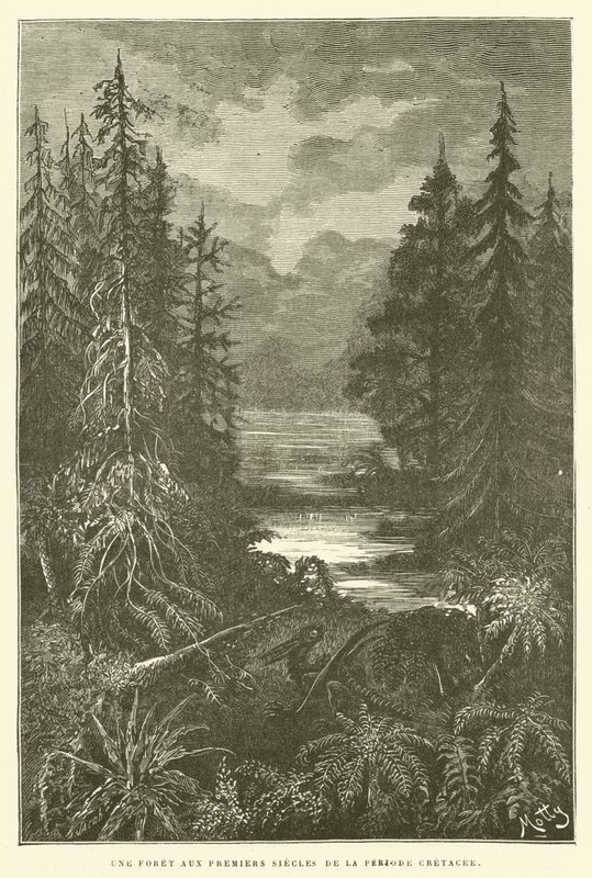 Un bosque en los primeros siglos del período cretácico de French School