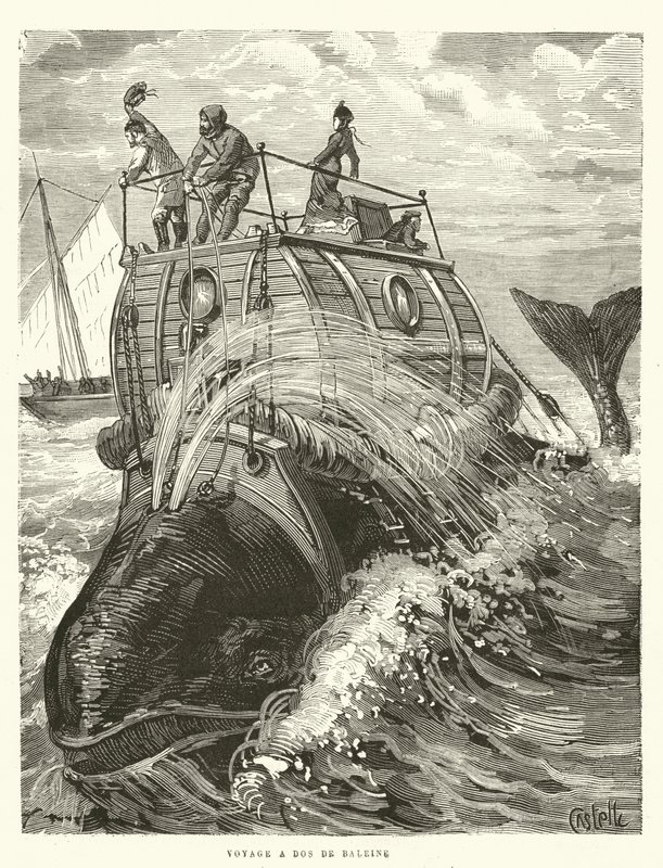 Voyage a Dos de Baleine (grabado) de French School