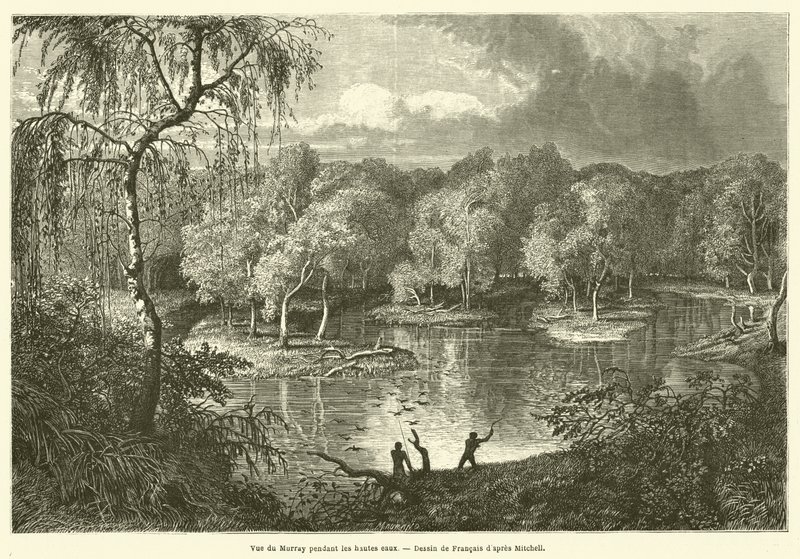 Vista del Murray durante las aguas altas de French School
