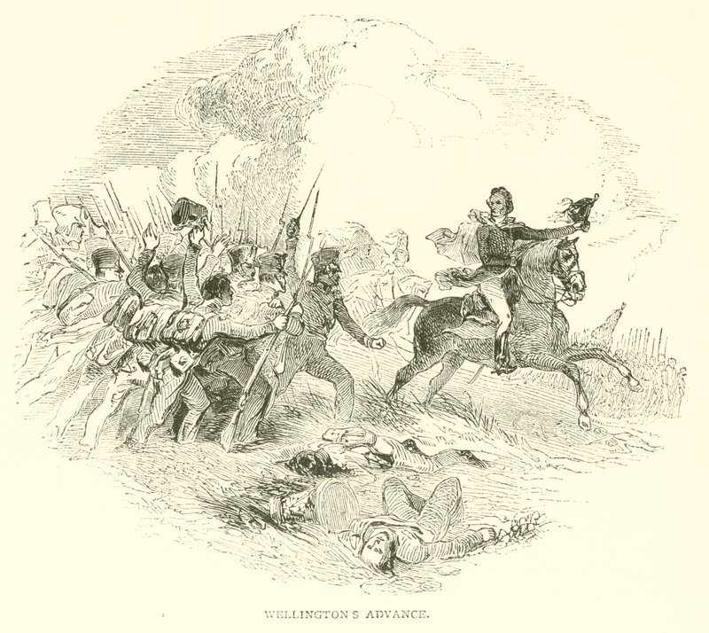 El Avance de Wellington de French School