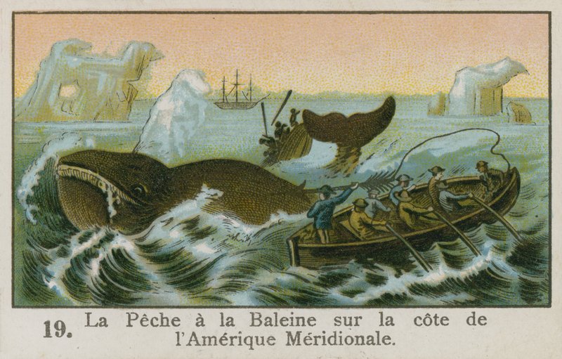 Caza de ballenas frente a la costa de Sudamérica de French School