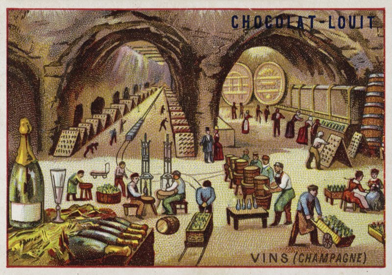 Elaboración de vino (Champagne) de French School