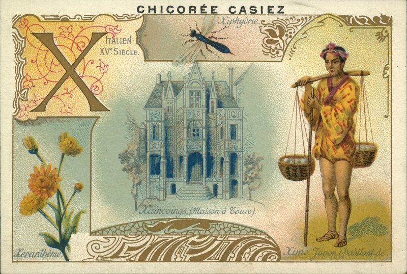 Xeranthemum, Ximo japonés, Casa a Tours y avispa de madera (chromolitho) de French School