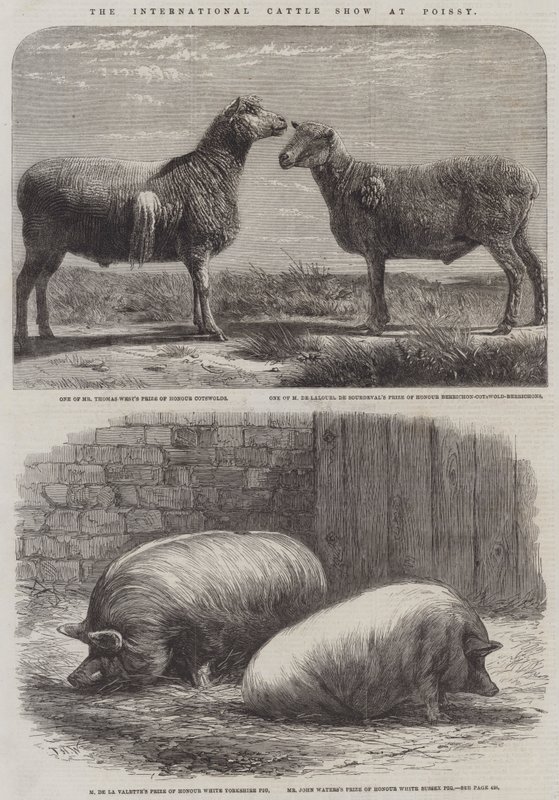 La Exposición Internacional de Ganado en Poissy de Friedrich Wilhelm Keyl