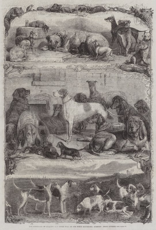 La exposición de perros deportivos y otros en el Horse Repository, Holborn, animales premiados de Friedrich Wilhelm Keyl