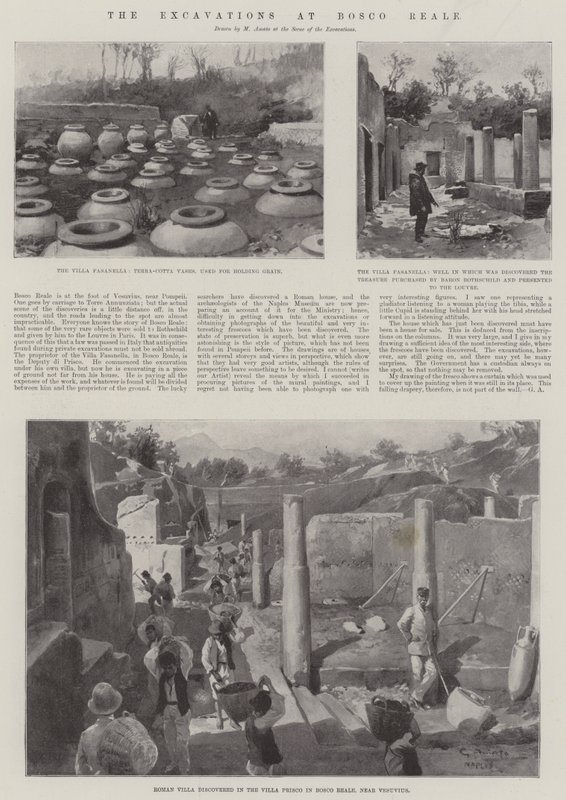 Las excavaciones en Bosco Reale de G.S. Amato