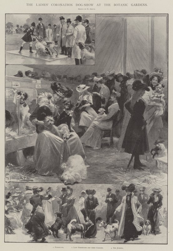La Exposición Canina de Coronación de las Damas en los Jardines Botánicos de G.S. Amato