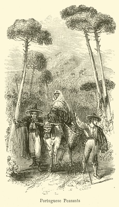 Campesinos portugueses de G. F. Sargent