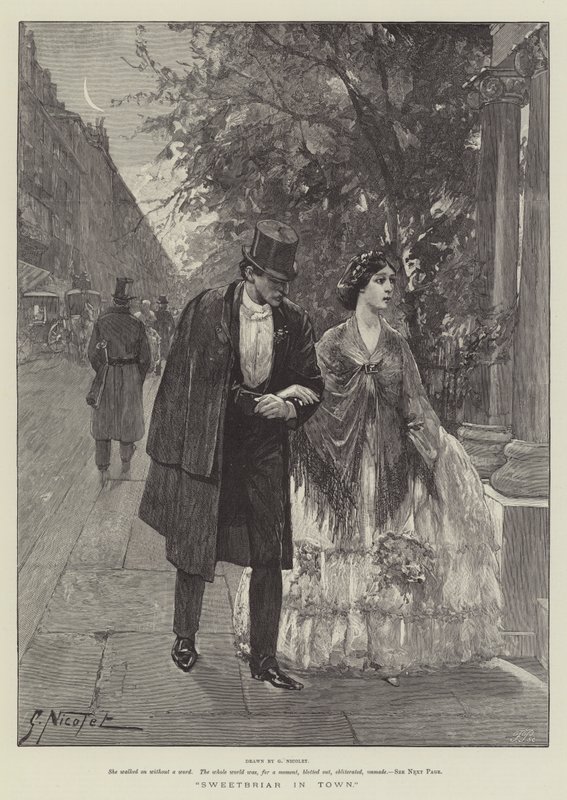 Escaramujo en la ciudad de Gabriel Nicolet