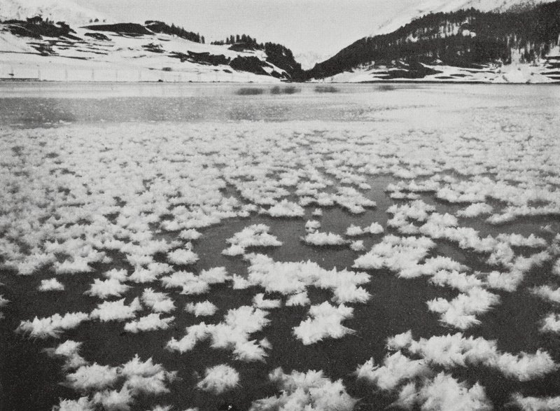 Suiza de Geoffrey Roland Balance