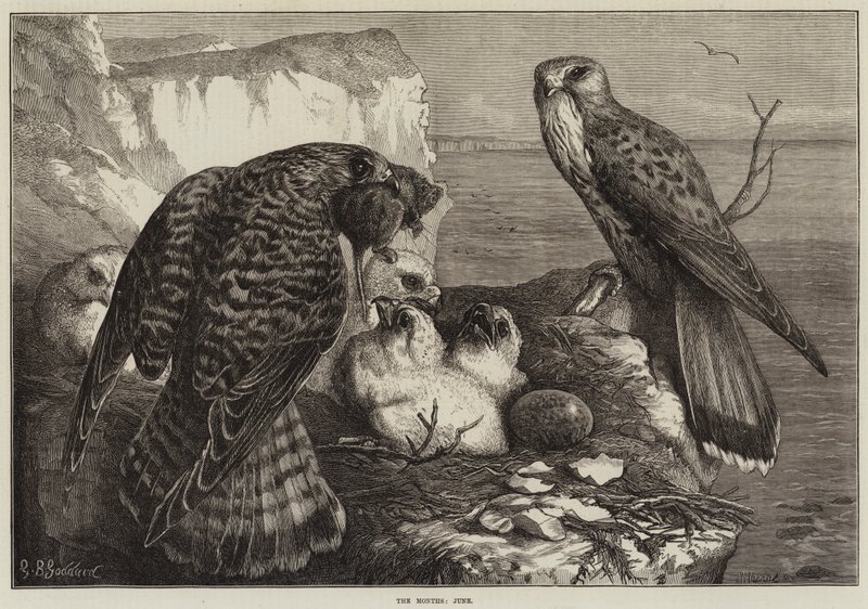 Los meses, junio de George Bouverie Goddard