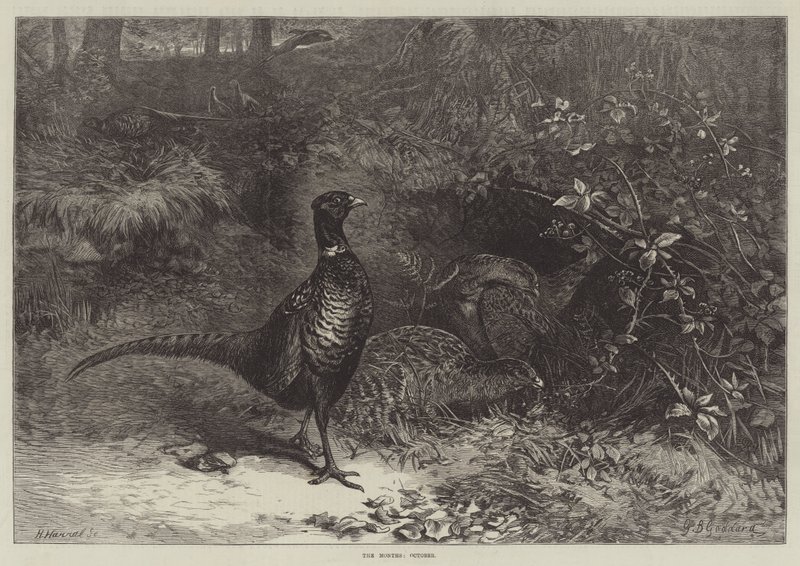 Los meses, octubre de George Bouverie Goddard