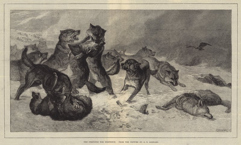 La lucha por la existencia de George Bouverie Goddard