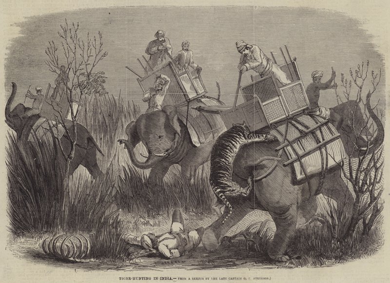 Caza de tigres en India de George Francklin Atkinson