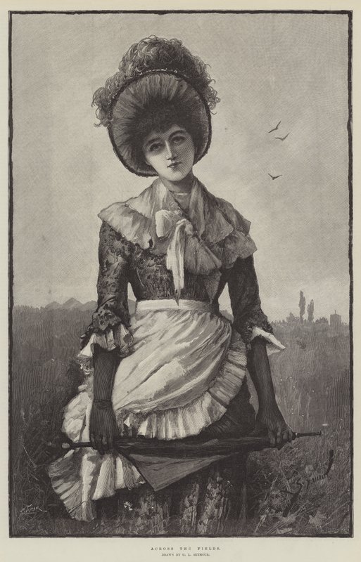 A través de los campos de George L. Seymour