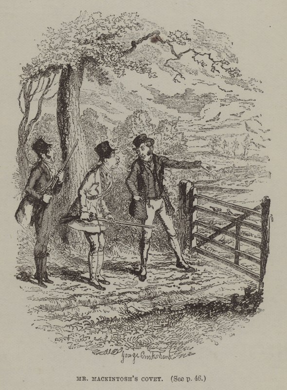 La bandada del Sr. Mackintosh de George (after) Cruikshank