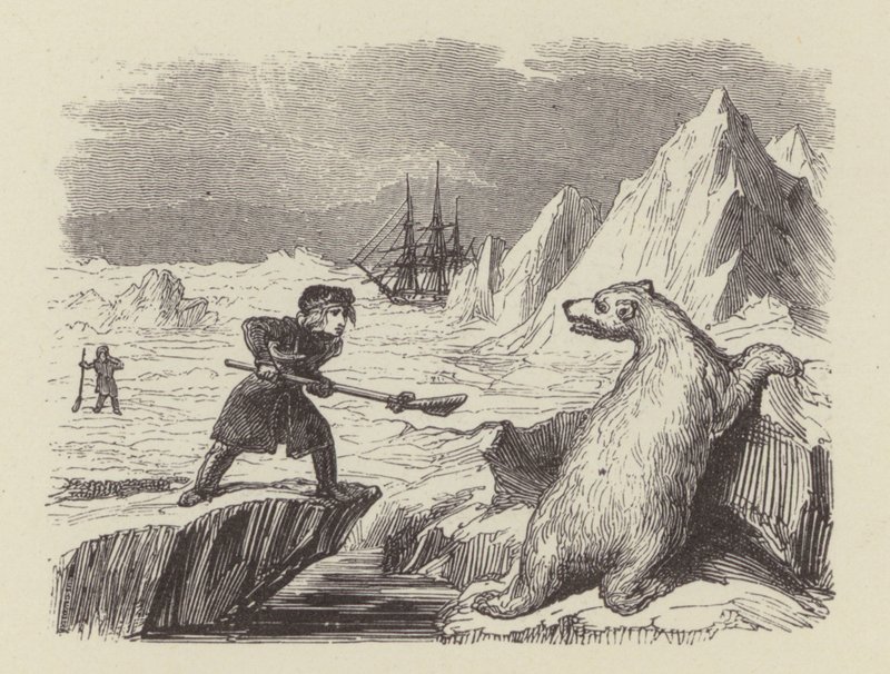 El joven Nelson matando un oso polar (grabado) de George (after) Cruikshank