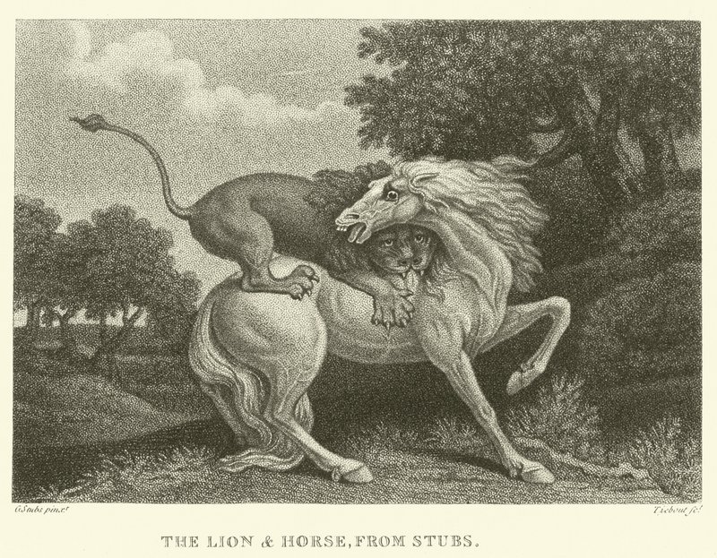 El león y el caballo, de Stubs de George (after) Stubbs