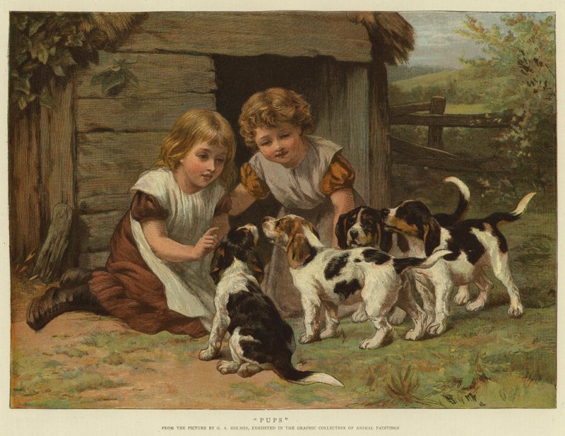 Cachorros de George Augustus Holmes