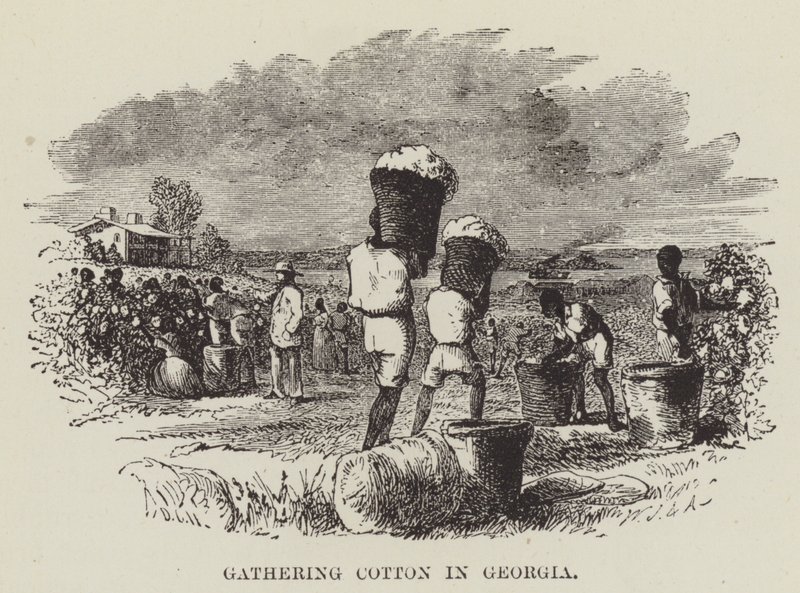 Recolectando algodón en Georgia de George Augustus Sala