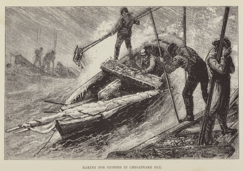 Rastrillando ostras en la bahía de Chesapeake de George Augustus Sala