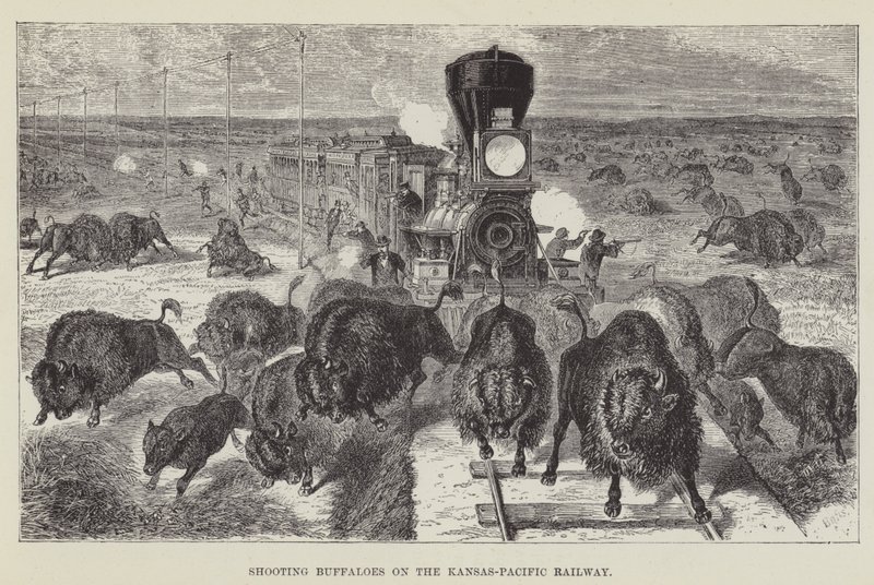 Cazando búfalos en el ferrocarril Kansas-Pacífico de George Augustus Sala