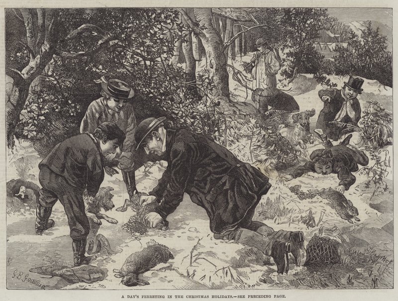 Un día de caza de conejos en las vacaciones de Navidad de George Bouverie Goddard