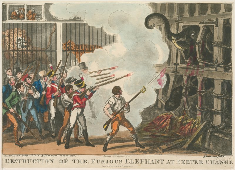 Destrucción del elefante furioso en Exeter Change, 1826 de George Cruikshank