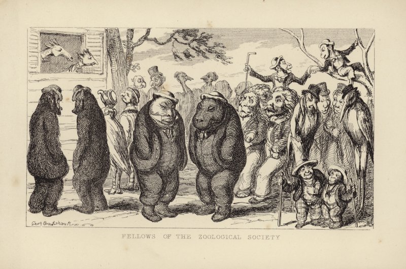 Miembros de la Sociedad Zoológica de George Cruikshank