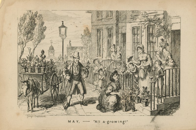 Mayo - todo floreciendo de George Cruikshank