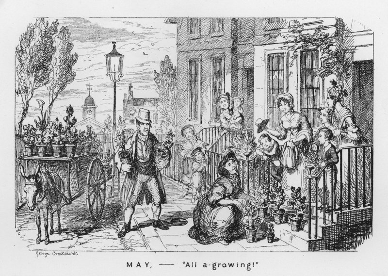 Mayo, Todo Creciendo de George Cruikshank