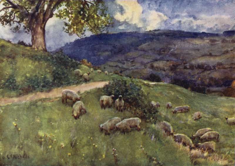 Un pastizal de ovejas en Cotswold de George Franck Nicholls