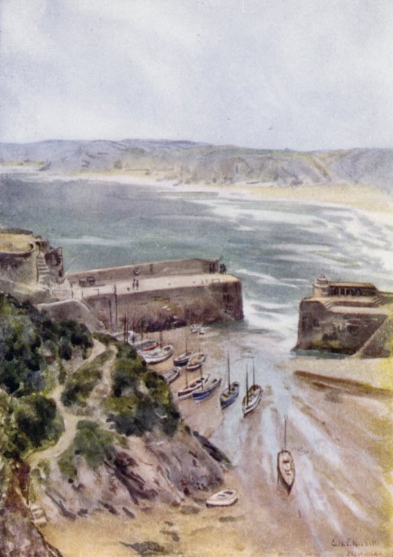 Newquay de George Franck Nicholls