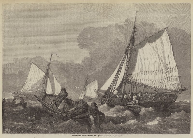 Pesca de Bacalao en el Mar del Norte de George Henry Andrews