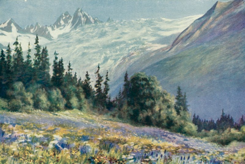 Campanula y otras flores de julio en el Col Des Montets de George Jackson Flemwell