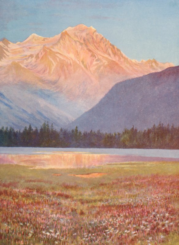 Atardecer entre los campos de Bistort rosa en Lac Champex; puesta de sol en el Grand Combin, julio (litografía en color) de George Jackson Flemwell
