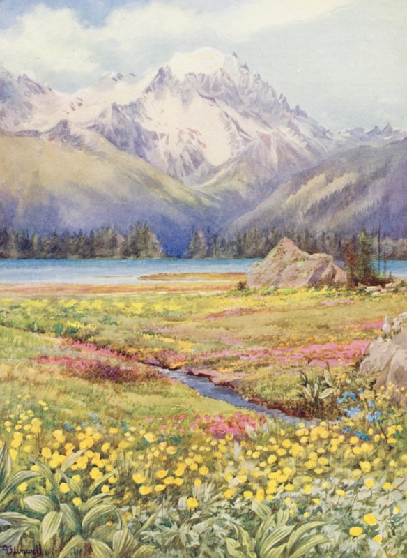 Los campos altos de Champex a principios de junio, con el Grand Combin a lo lejos (litografía en color) de George Jackson Flemwell