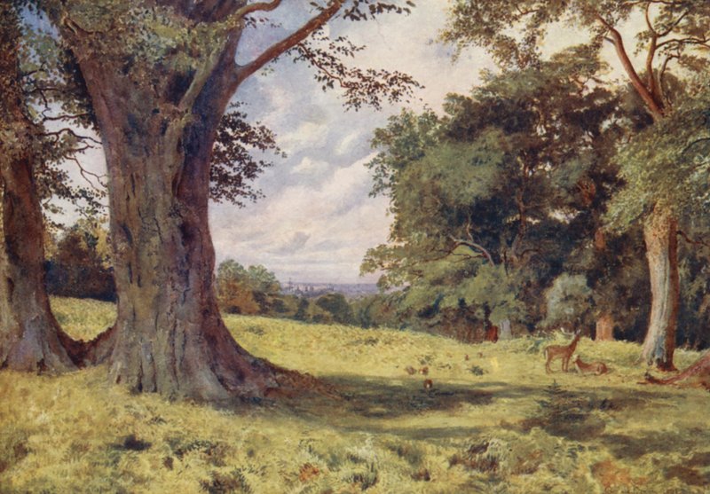 A Glade in Windsor Great Park (litografía en color) de George Moore Henton